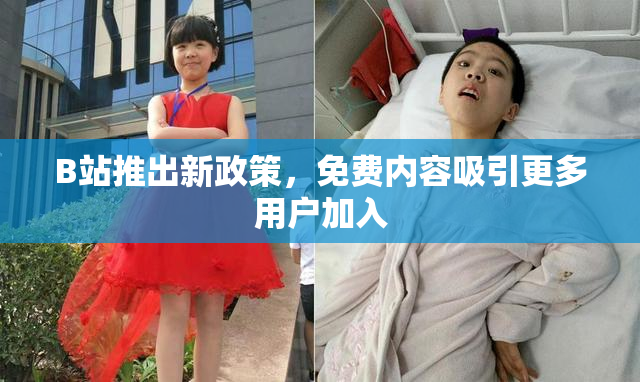 B站推出新政策，免费内容吸引更多用户加入