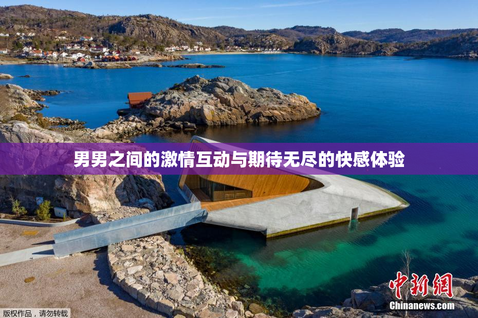 男男之间的激情互动与期待无尽的快感体验
