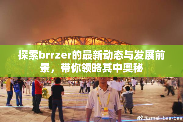 探索brrzer的最新动态与发展前景，带你领略其中奥秘