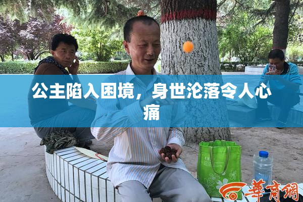 公主陷入困境，身世沦落令人心痛