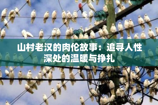 山村老汉的肉伦故事：追寻人性深处的温暖与挣扎