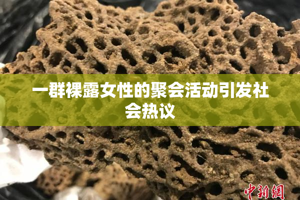 一群裸露女性的聚会活动引发社会热议