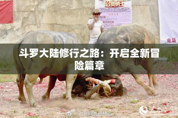 斗罗大陆修行之路：开启全新冒险篇章