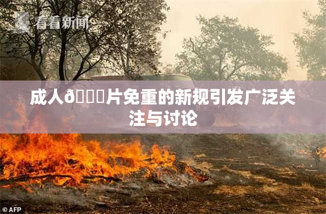 成人🔞片免重的新规引发广泛关注与讨论