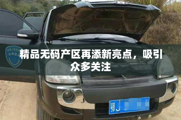 精品无码产区再添新亮点，吸引众多关注