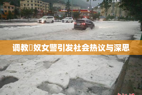 调教婬奴女警引发社会热议与深思