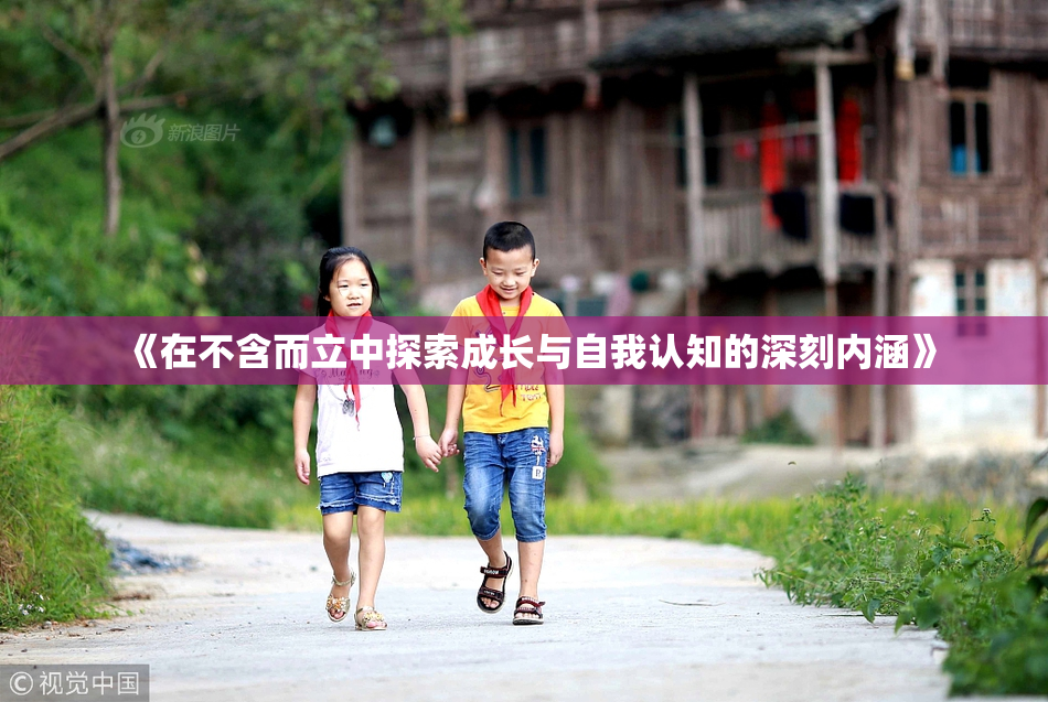 《在不含而立中探索成长与自我认知的深刻内涵》