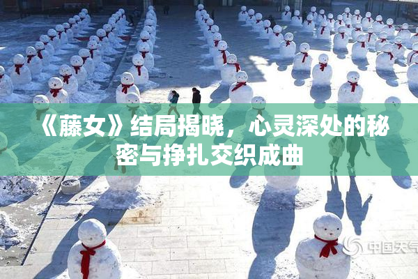 《藤女》结局揭晓，心灵深处的秘密与挣扎交织成曲