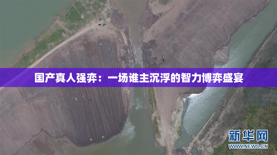 国产真人强弈：一场谁主沉浮的智力博弈盛宴