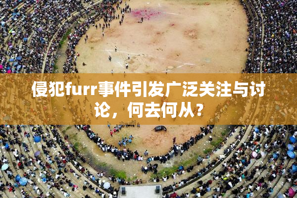 侵犯furr事件引发广泛关注与讨论，何去何从？