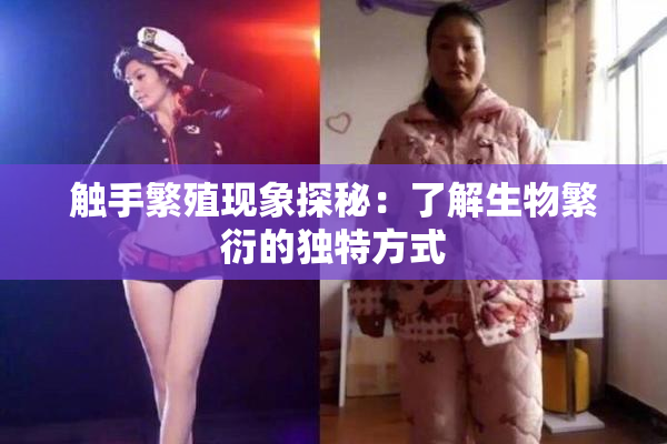 触手繁殖现象探秘：了解生物繁衍的独特方式