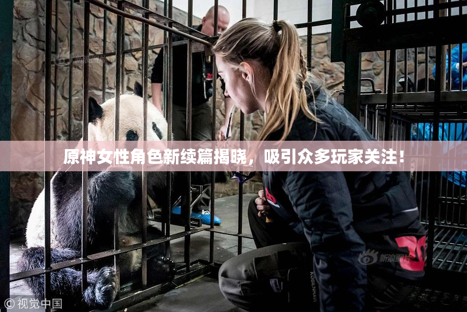 原神女性角色新续篇揭晓，吸引众多玩家关注！