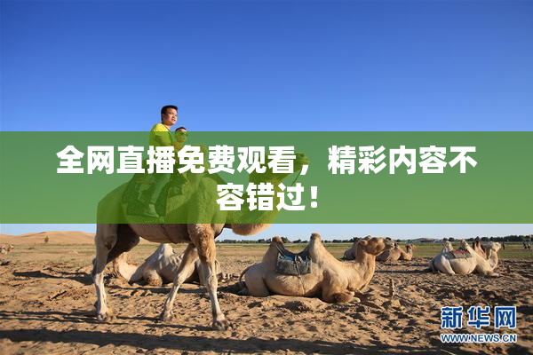 全网直播免费观看，精彩内容不容错过！