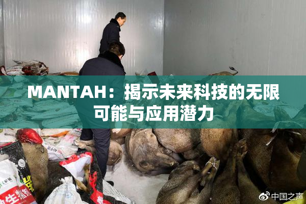 MANTAH：揭示未来科技的无限可能与应用潜力