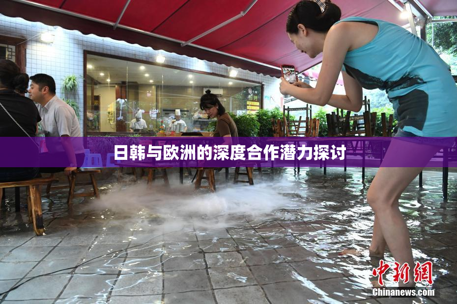 日韩与欧洲的深度合作潜力探讨