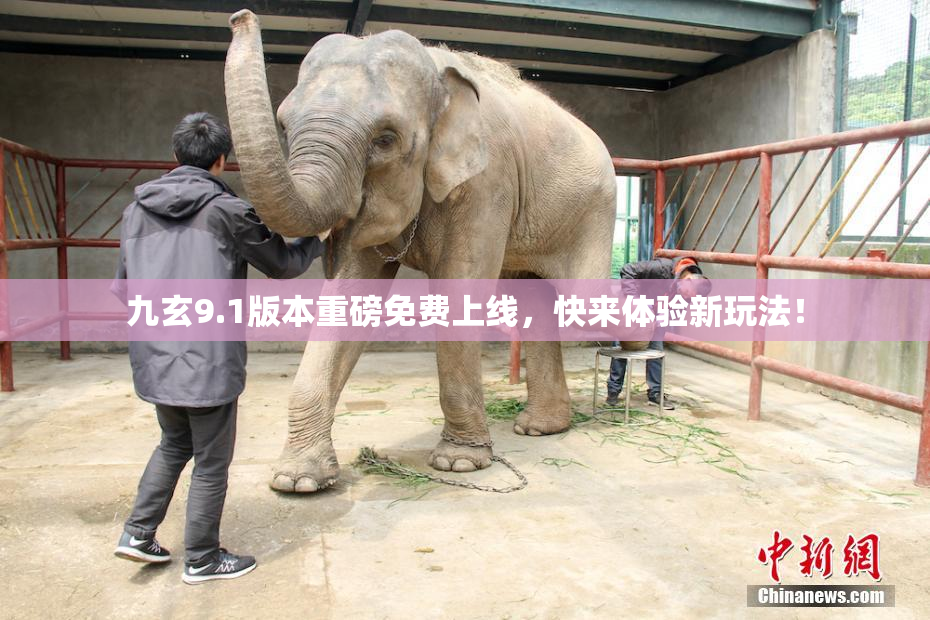 九玄9.1版本重磅免费上线，快来体验新玩法！