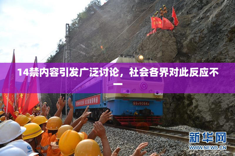 14禁内容引发广泛讨论，社会各界对此反应不一