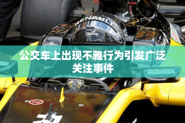 公交车上出现不雅行为引发广泛关注事件