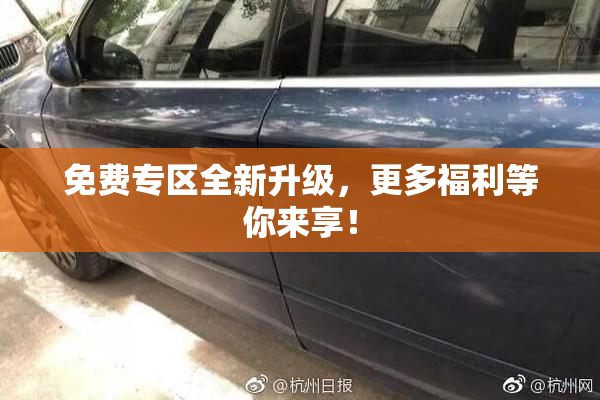 免费专区全新升级，更多福利等你来享！