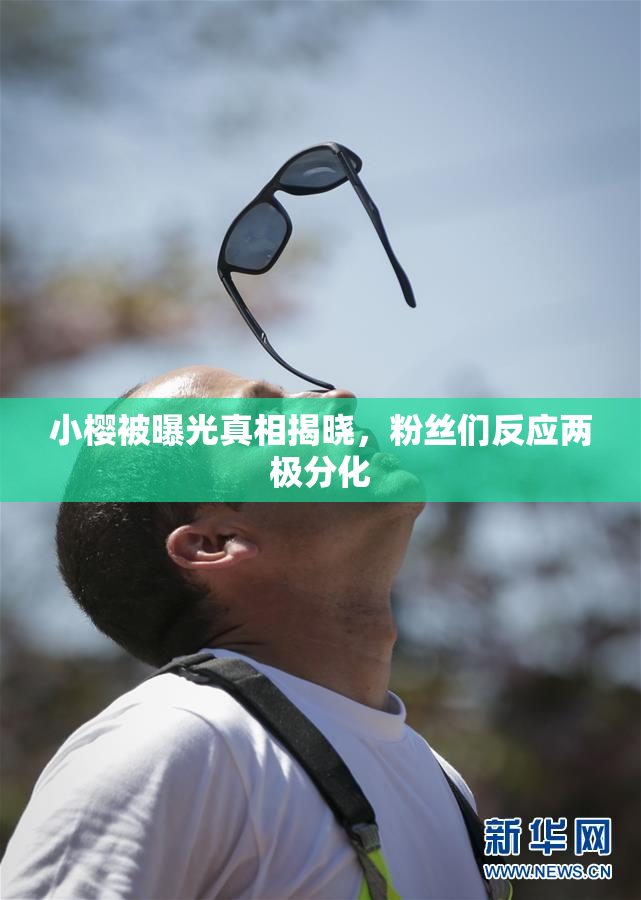 小樱被曝光真相揭晓，粉丝们反应两极分化