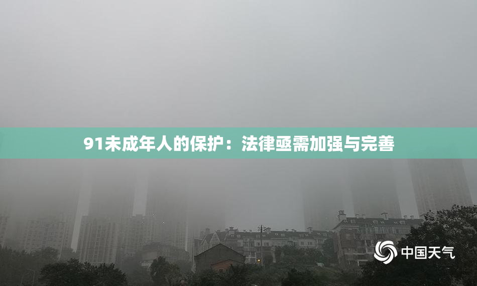 91未成年人的保护：法律亟需加强与完善