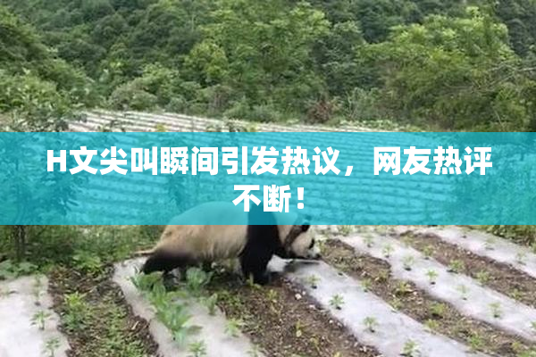 H文尖叫瞬间引发热议，网友热评不断！