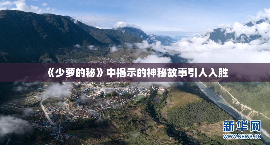 《少萝的秘》中揭示的神秘故事引人入胜