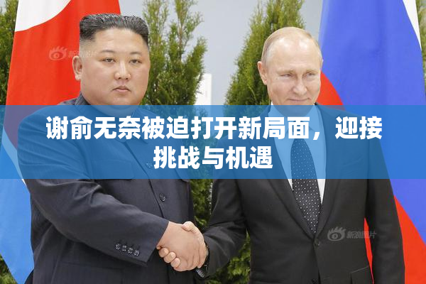 谢俞无奈被迫打开新局面，迎接挑战与机遇