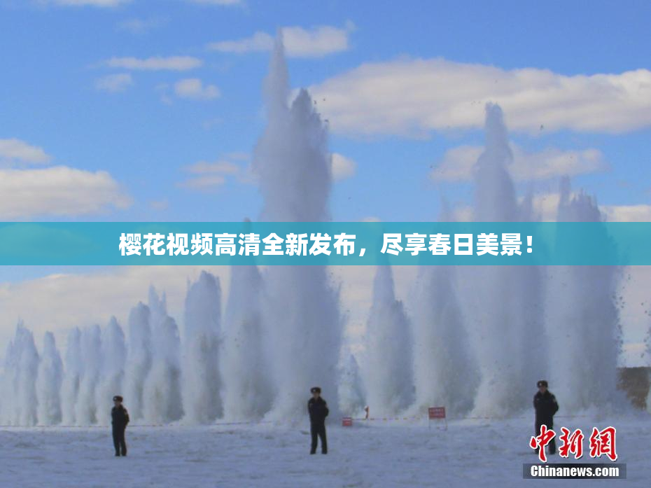 樱花视频高清全新发布，尽享春日美景！