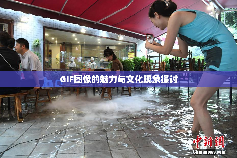 GIF图像的魅力与文化现象探讨