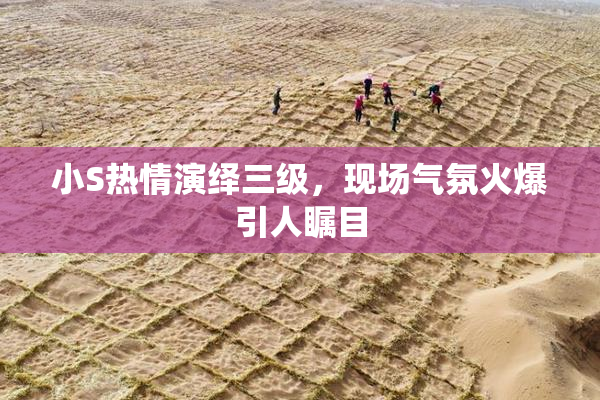 小S热情演绎三级，现场气氛火爆引人瞩目