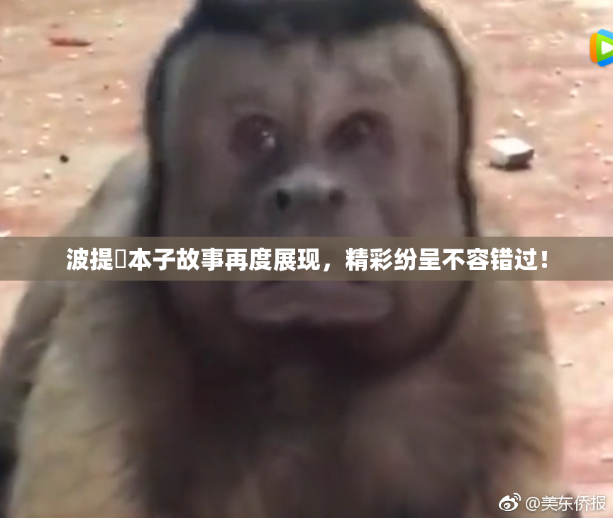 波提歐本子故事再度展现，精彩纷呈不容错过！