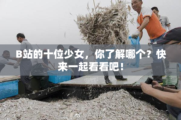 B站的十位少女，你了解哪个？快来一起看看吧！