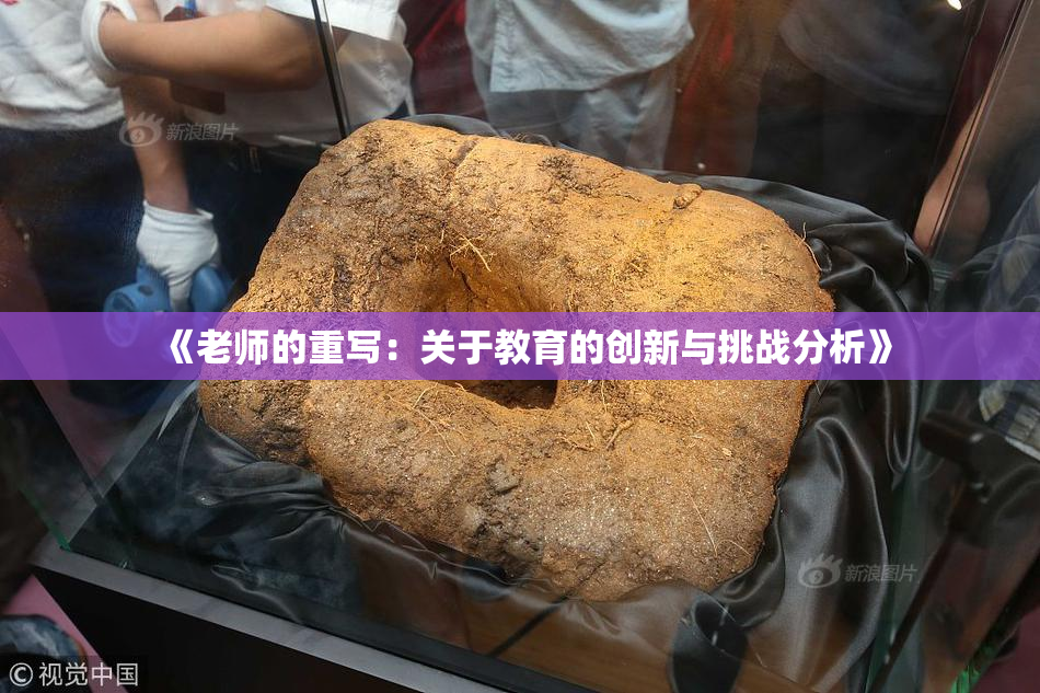 《老师的重写：关于教育的创新与挑战分析》