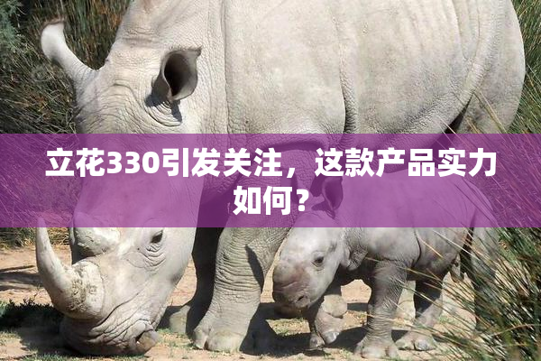 立花330引发关注，这款产品实力如何？
