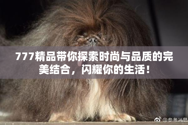 777精品带你探索时尚与品质的完美结合，闪耀你的生活！