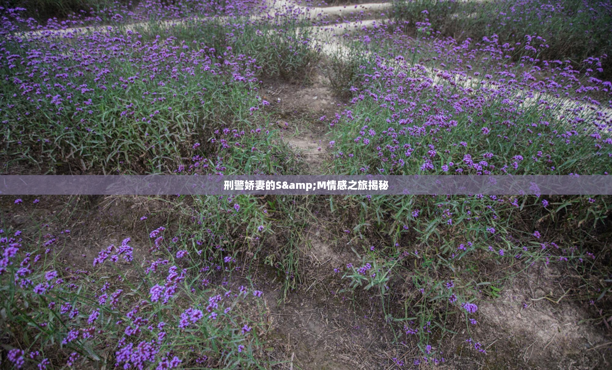 刑警娇妻的S&M情感之旅揭秘