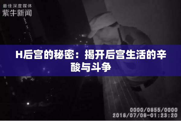 H后宫的秘密：揭开后宫生活的辛酸与斗争