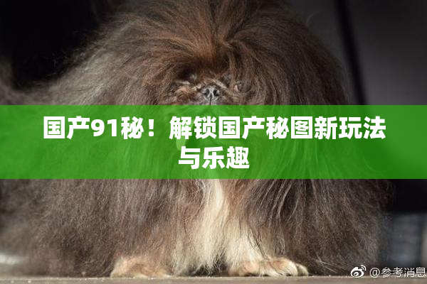 国产91秘！解锁国产秘图新玩法与乐趣