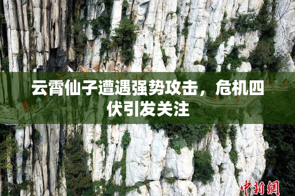 云霄仙子遭遇强势攻击，危机四伏引发关注