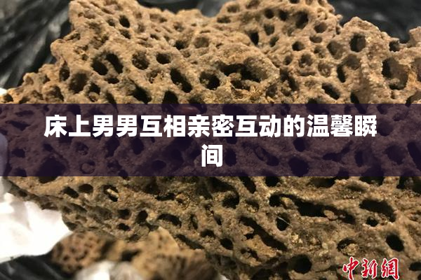 床上男男互相亲密互动的温馨瞬间