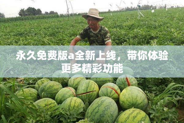 永久免费版a全新上线，带你体验更多精彩功能