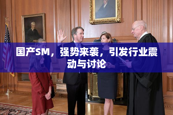 国产SM，强势来袭，引发行业震动与讨论