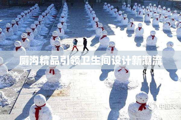 厕沟精品引领卫生间设计新潮流