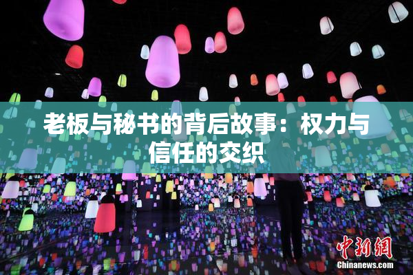 老板与秘书的背后故事：权力与信任的交织