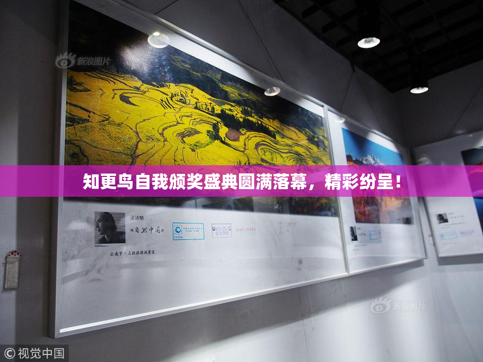 知更鸟自我颁奖盛典圆满落幕，精彩纷呈！
