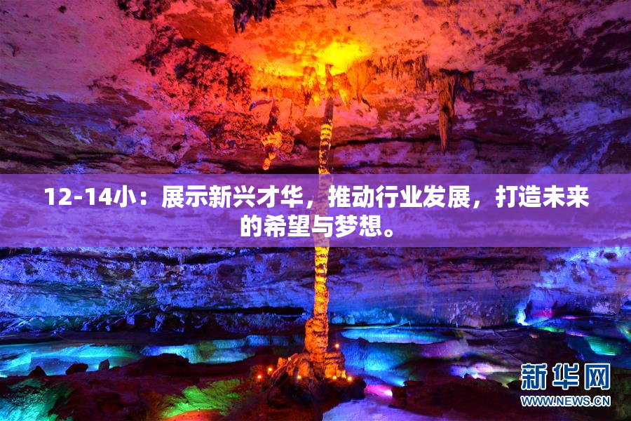 12-14小：展示新兴才华，推动行业发展，打造未来的希望与梦想。