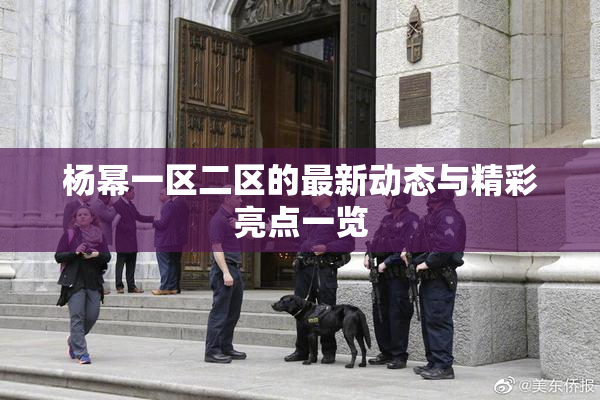 杨幂一区二区的最新动态与精彩亮点一览