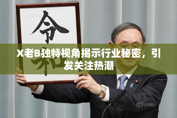 X老B独特视角揭示行业秘密，引发关注热潮