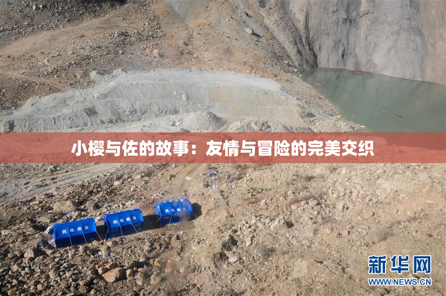 小樱与佐的故事：友情与冒险的完美交织